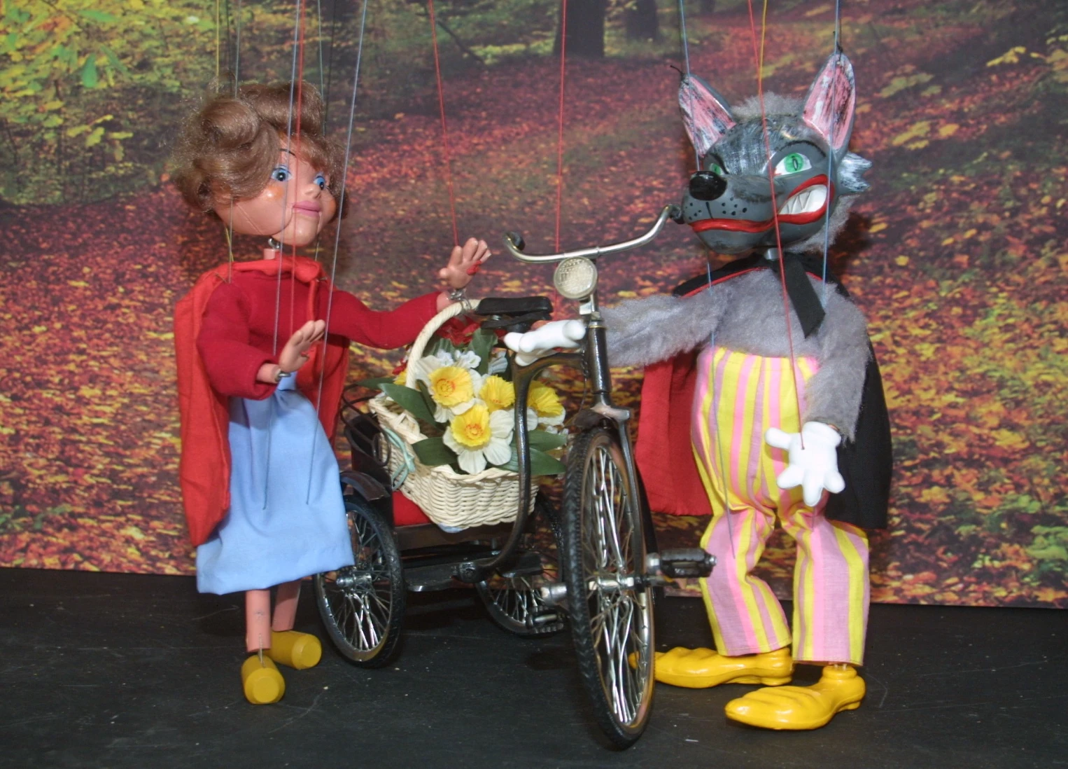 Red Riding Hood and the wolf in a Moon & Sixpence marionette performance.